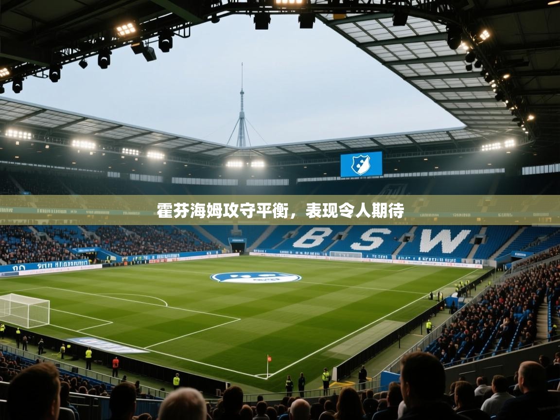 霍芬海姆攻守平衡，表现令人期待  第1张