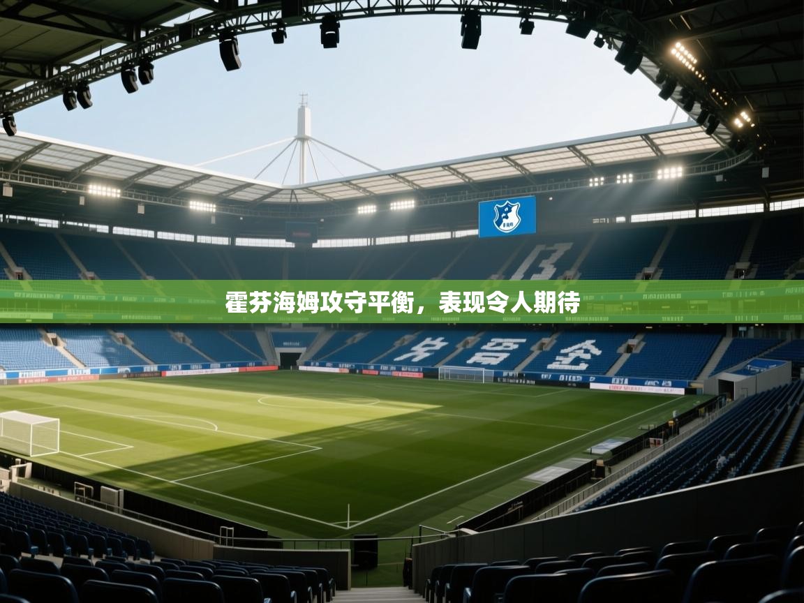 霍芬海姆攻守平衡，表现令人期待  第2张