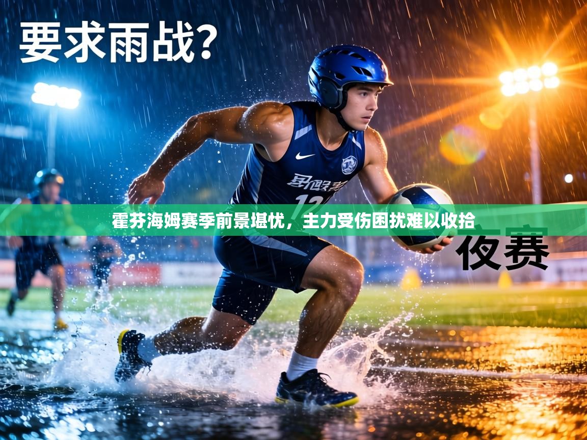 霍芬海姆赛季前景堪忧，主力受伤困扰难以收拾  第1张