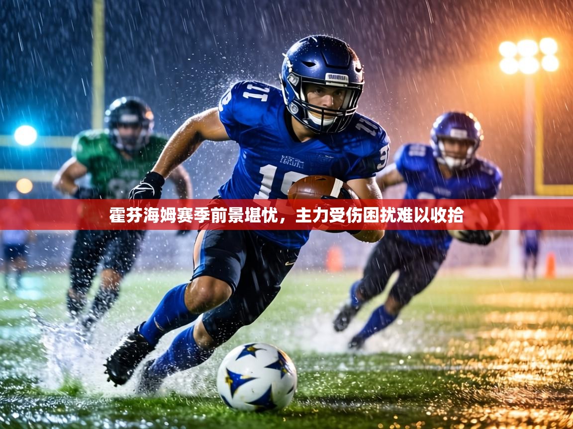 霍芬海姆赛季前景堪忧，主力受伤困扰难以收拾  第2张